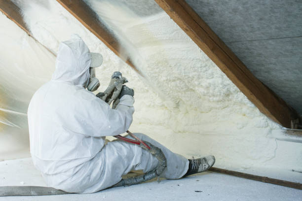 Eco-Friendly Insulation Solutions in Janesville, IA